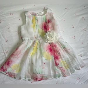 Janie And Jack Rose Print Chiffon Dress Size 3-6 Months